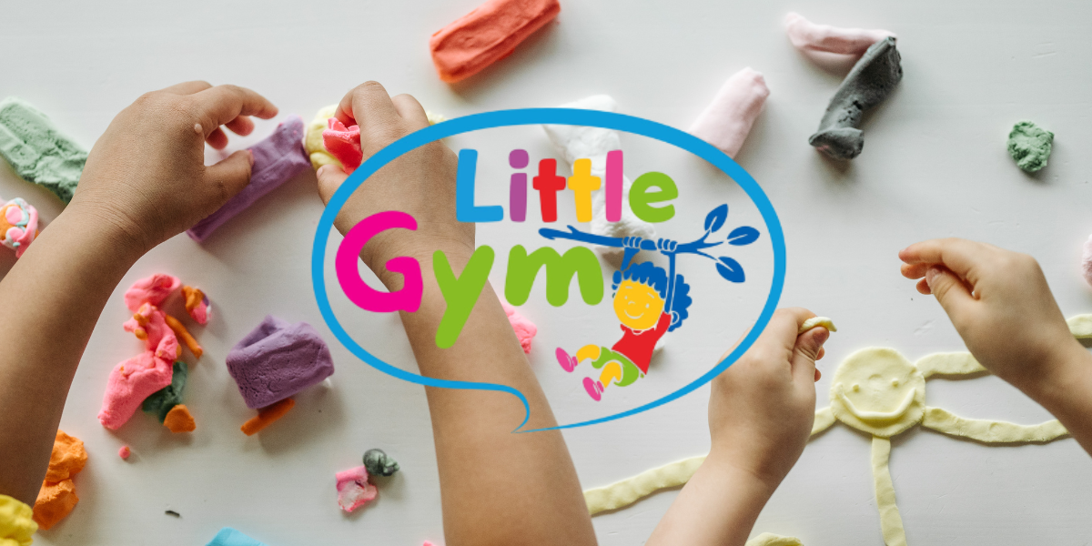 Little Gym Mongolia cover